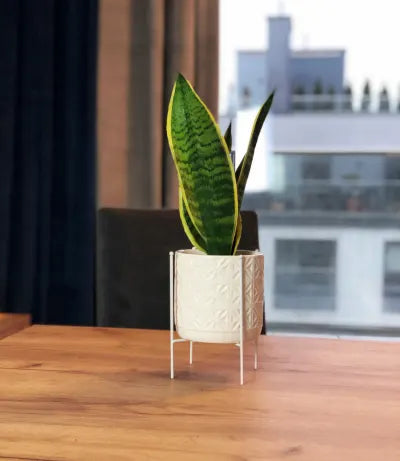 Βάση Μεταλλική Λευκό Για Κασπώ Φ14X19Υ