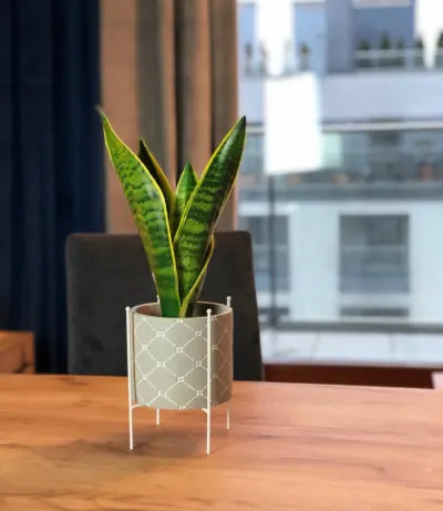 Βάση Μεταλλική Λευκό Για Κασπώ Φ14X19Υ