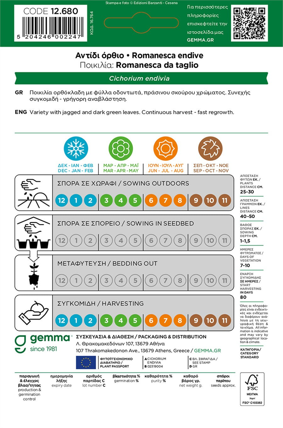 Αντίδι Κατσαρό Όρθιο φάκελος σπόρων