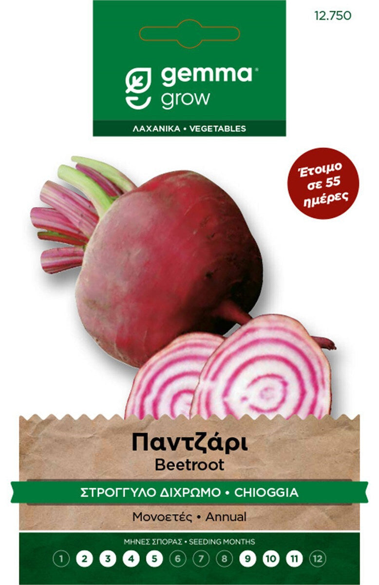 Παντζάρι στρογγυλό δίχρωμο 12750