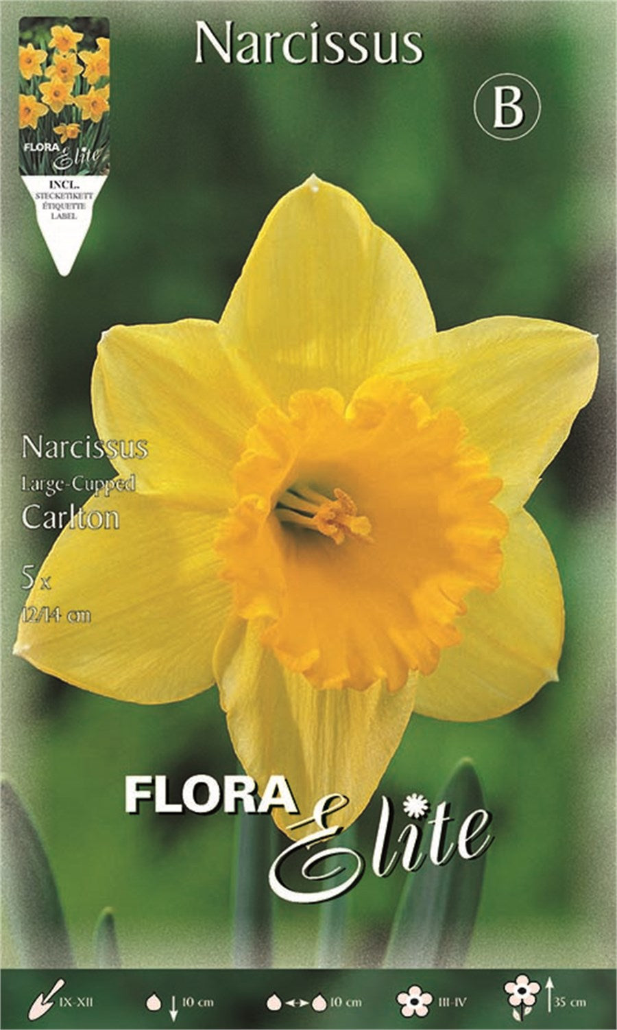 Νάρκισσος Carlton
