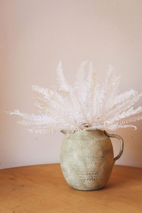 Bleached Dried Mountain Fern αποξηραμένο κλαδί 1τεμ