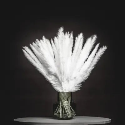 Pampas Grass Λευκό 60εκ. – Αποξηραμένο Κλαδί (6 τεμ.)