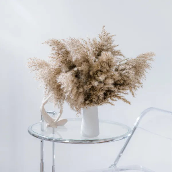 Cortaderia Fluffy Pampas Φυσικό 65–70εκ. αποξηραμένο μπουκέτο (3 τεμ.)