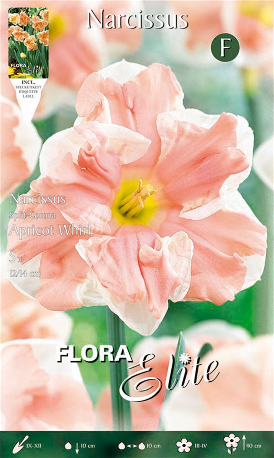 Νάρκισσος Apricot Whirl