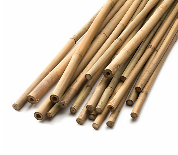 Καλάμια Μπαμπού στήριξης φυτών 1.2m