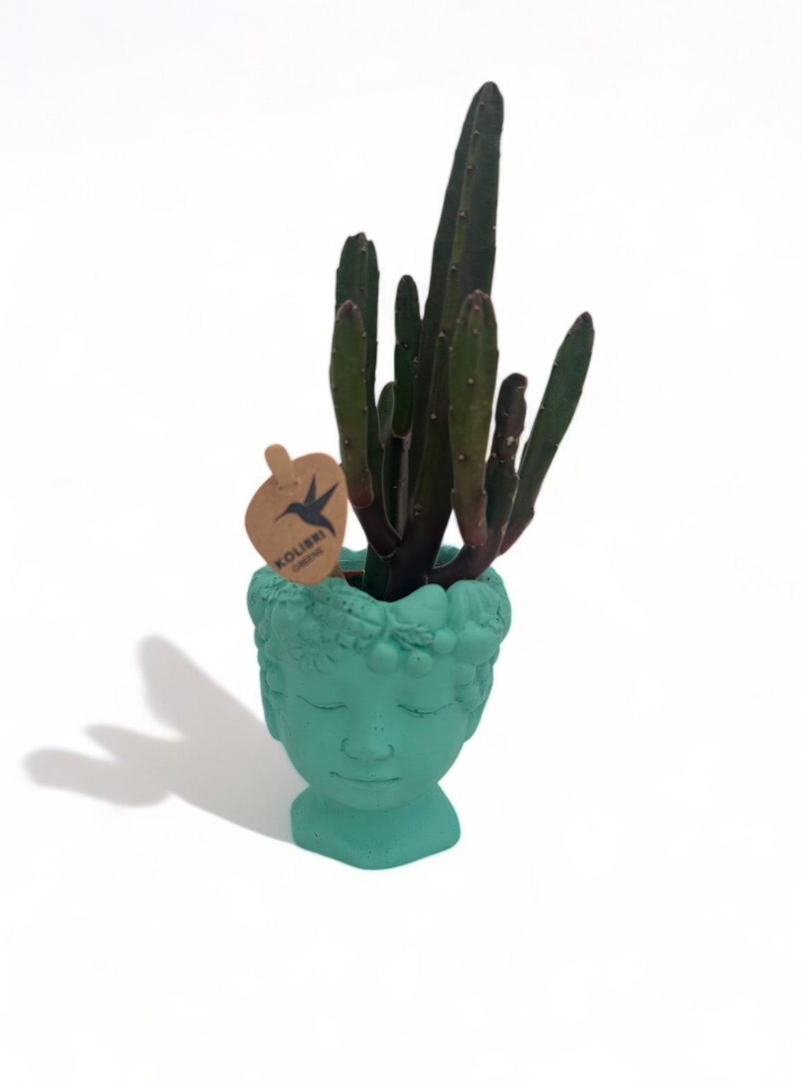 Τσιμεντένιο κασπώ mini πρόσωπο γαλάζιο Φ8