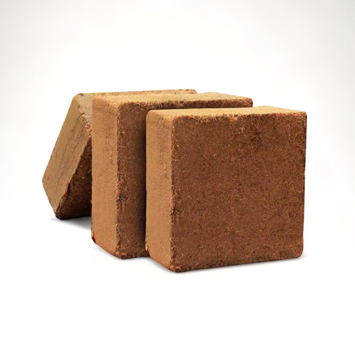 Κοκοφοίνικας 5kg