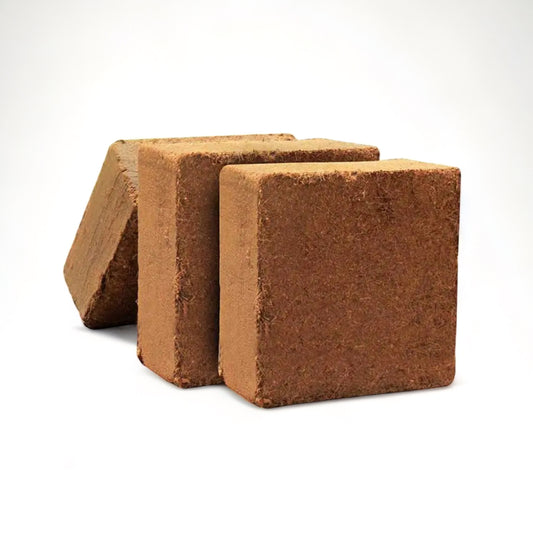 Κοκοφοίνικας 5kg