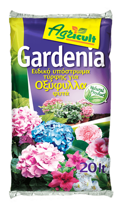 Gardenia