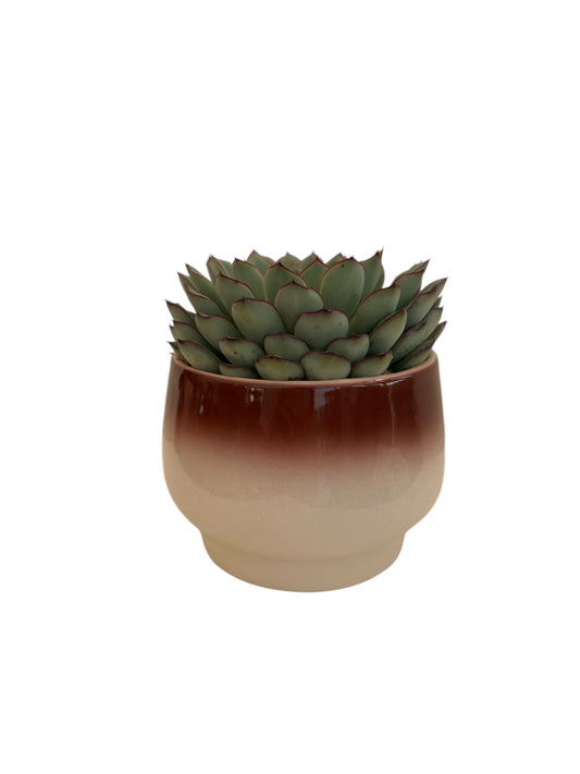 Κασπώ κεραμικό κεραμιδί 14*16