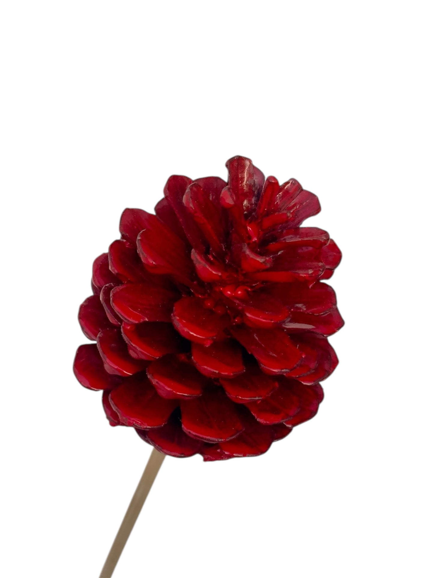 Στικ κουκουνάρι κόκκινο 45εκ.