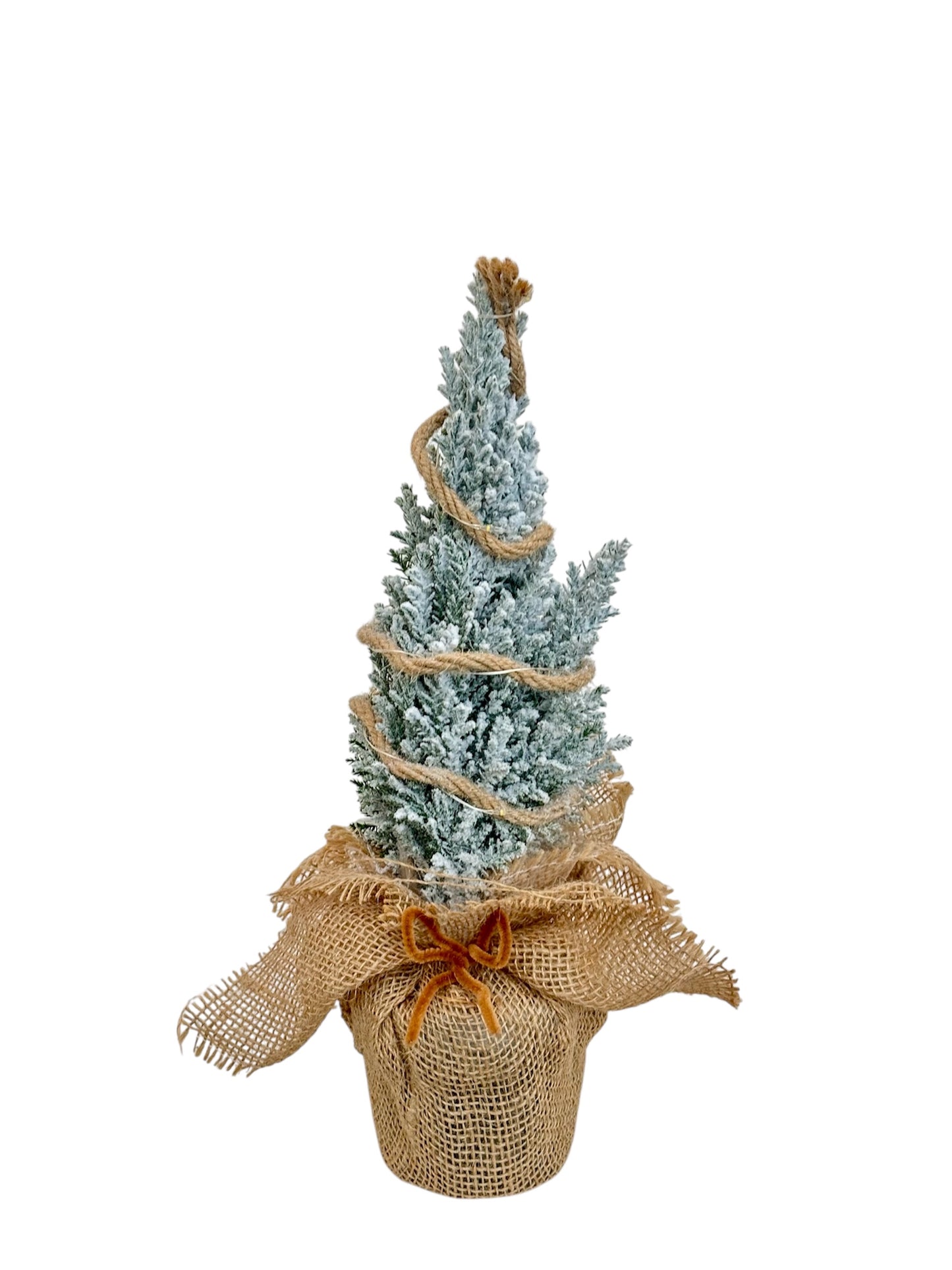 Στολισμένο καφέ Chamaecyparis ellwoodii με φωτάκια μπαταρίας Φ9εκ.