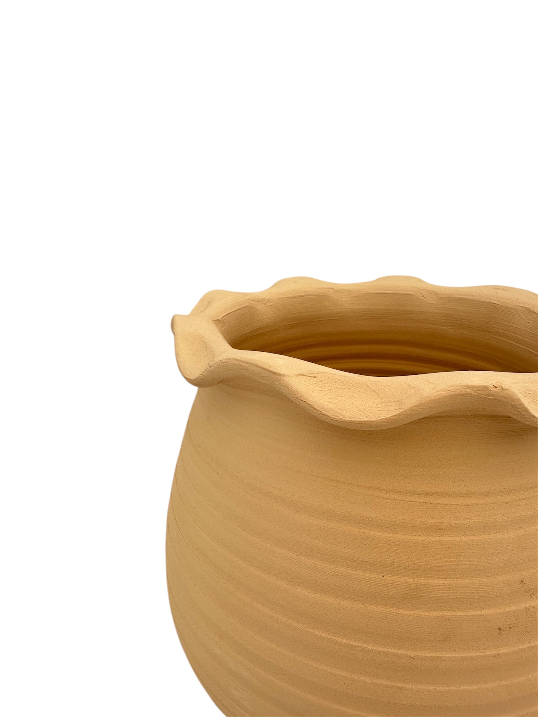 Κεραμική Γλάστρα Γλωσσάτο terrabianca 22*18