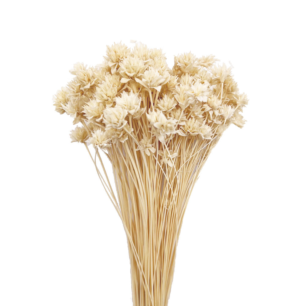 Hill flowers αποξηραμένο μπουκέτο λευκό 50-60εκ.