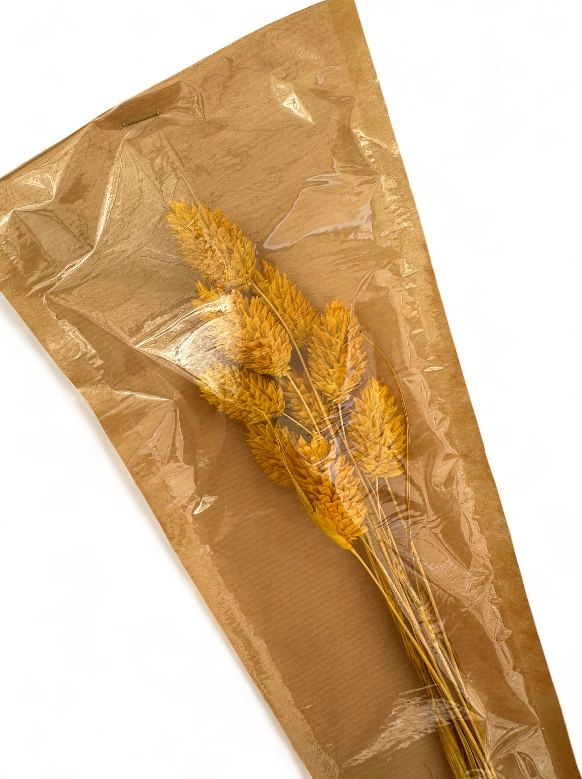 Phalaris 60εκ. Αποξηραμένο κλαδί Κίτρινο