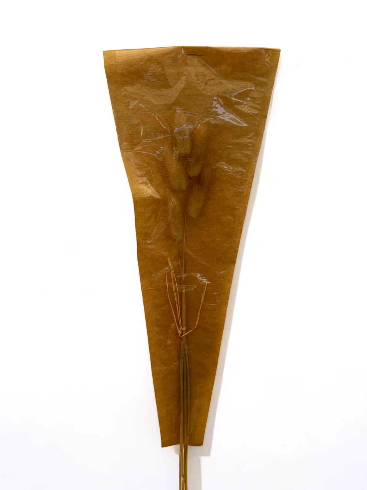 Bunny Tails Natural 40–50εκ. – Αποξηραμένα Κλαδιά (5 τεμ.)