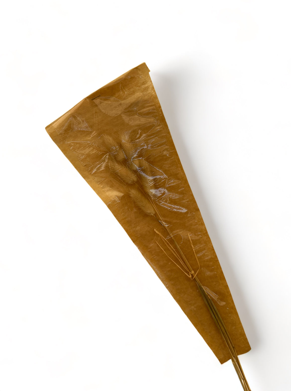 Bunny Tails 40-50εκ. Natural αποξηραμένο κλαδί