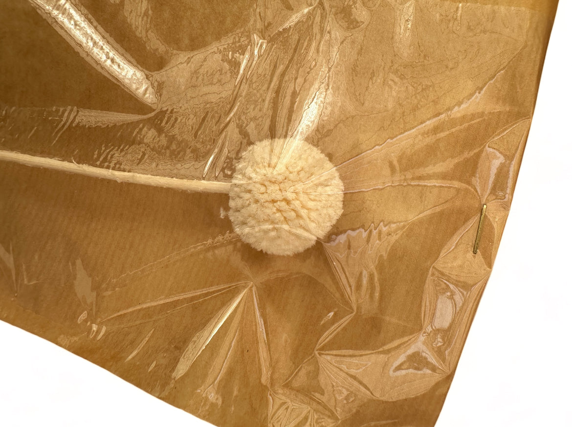 Preserved Craspedia 35~40εκ. αποξηραμένο Κλαδί White