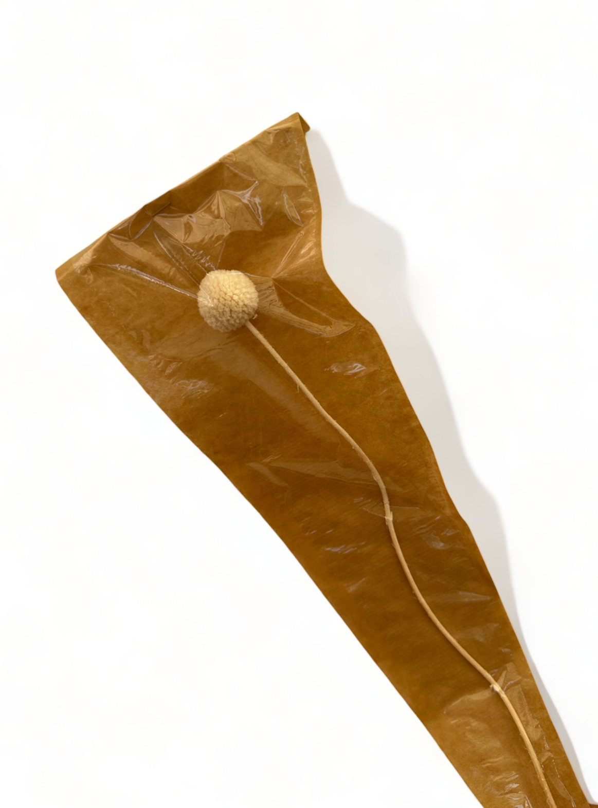 Preserved Craspedia 35~40εκ. αποξηραμένο Κλαδί White