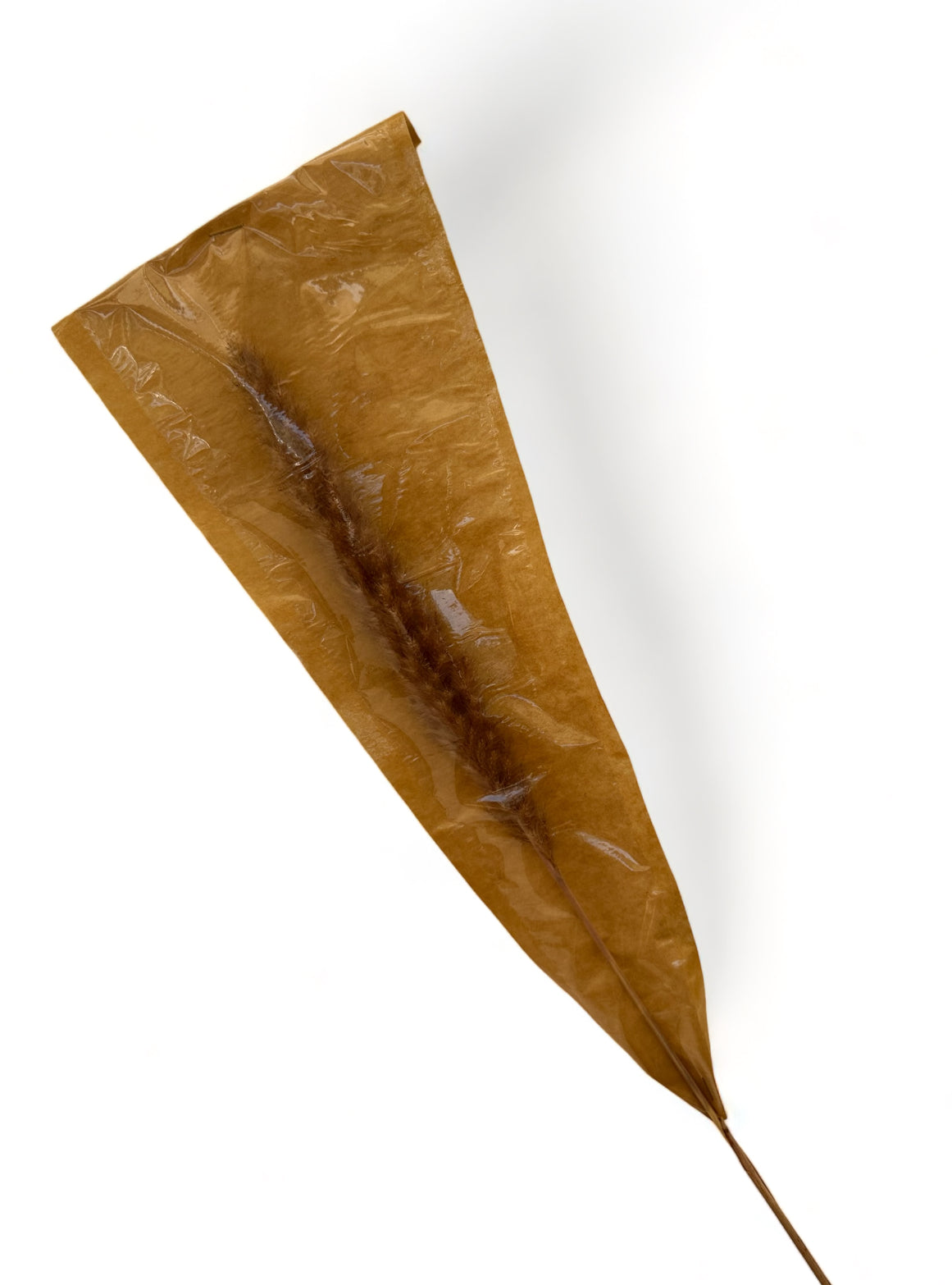 Pampas Grass Natural 60εκ. αποξηραμένο κλαδί