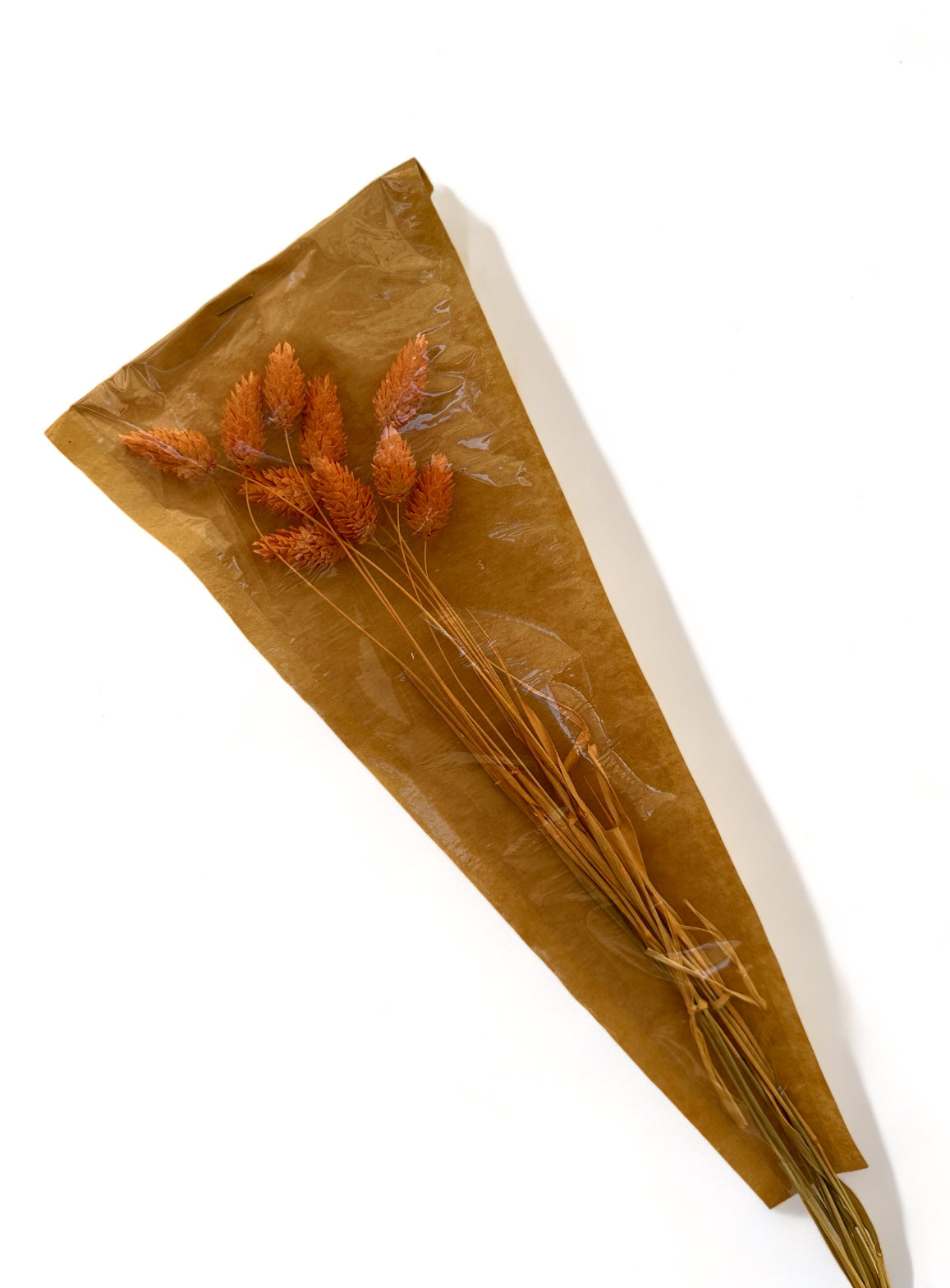 Phalaris 60εκ. Αποξηραμένο κλαδί Ροδακινί