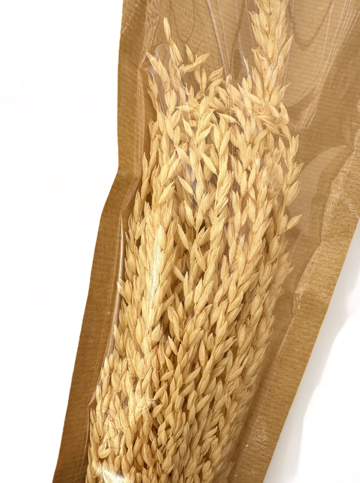 Mais Bleached αποξηραμένο κλαδί