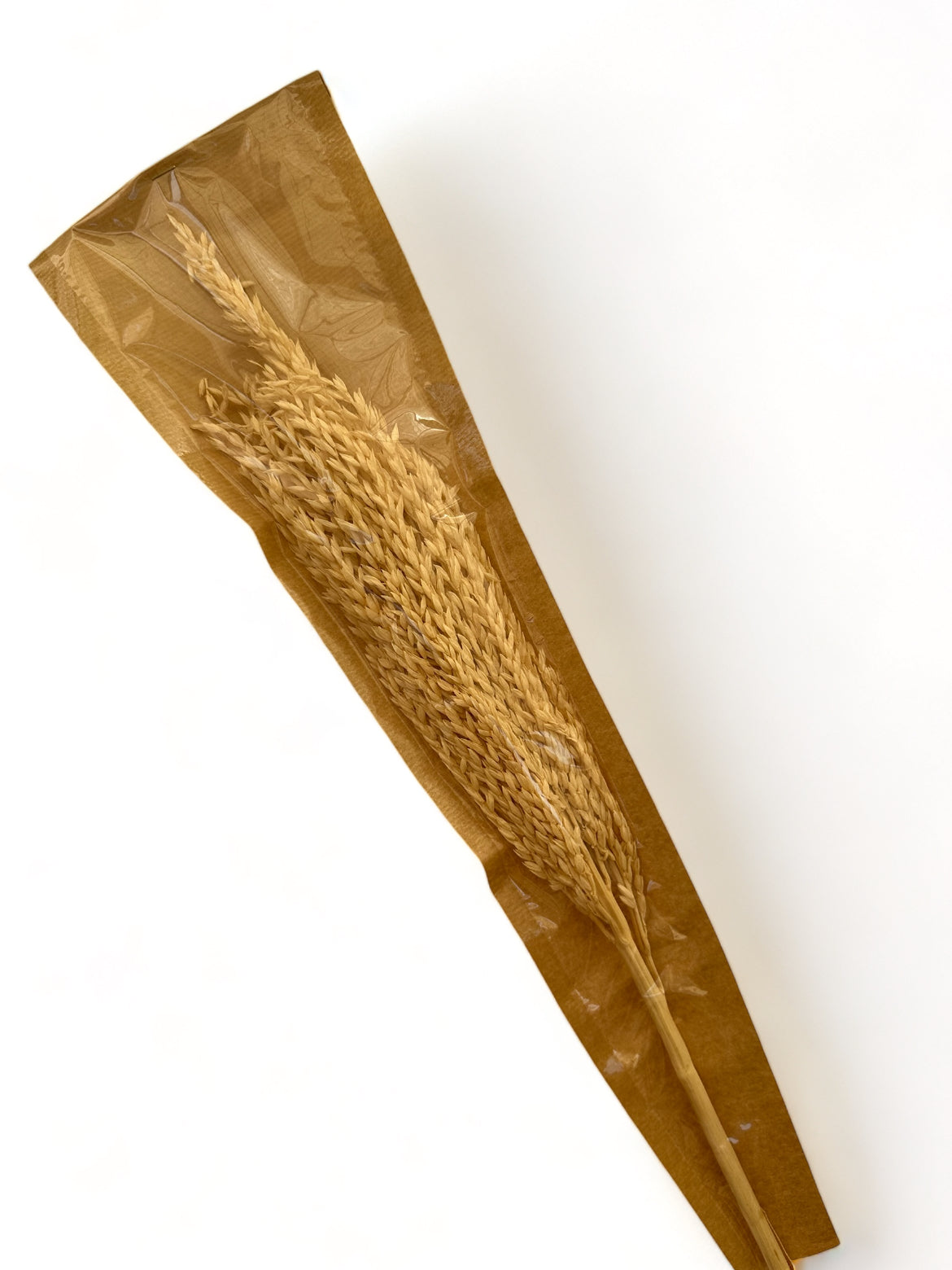 Mais Bleached αποξηραμένο κλαδί