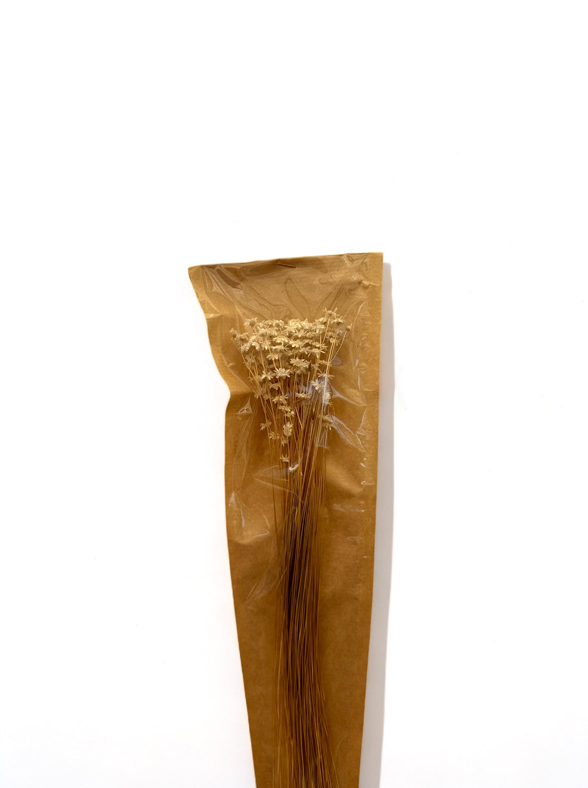 Glixia bleached αποξηραμένο μπουκέτο λευκό