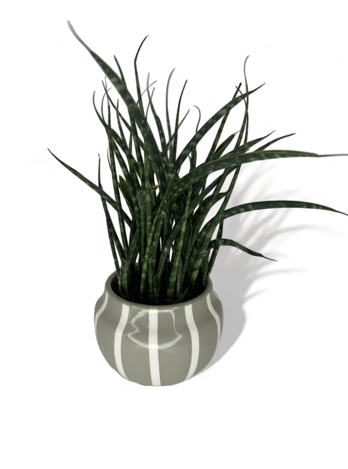 Mini Πήλινο Κασπώ "Kassandra" 7.5*6 μέντα