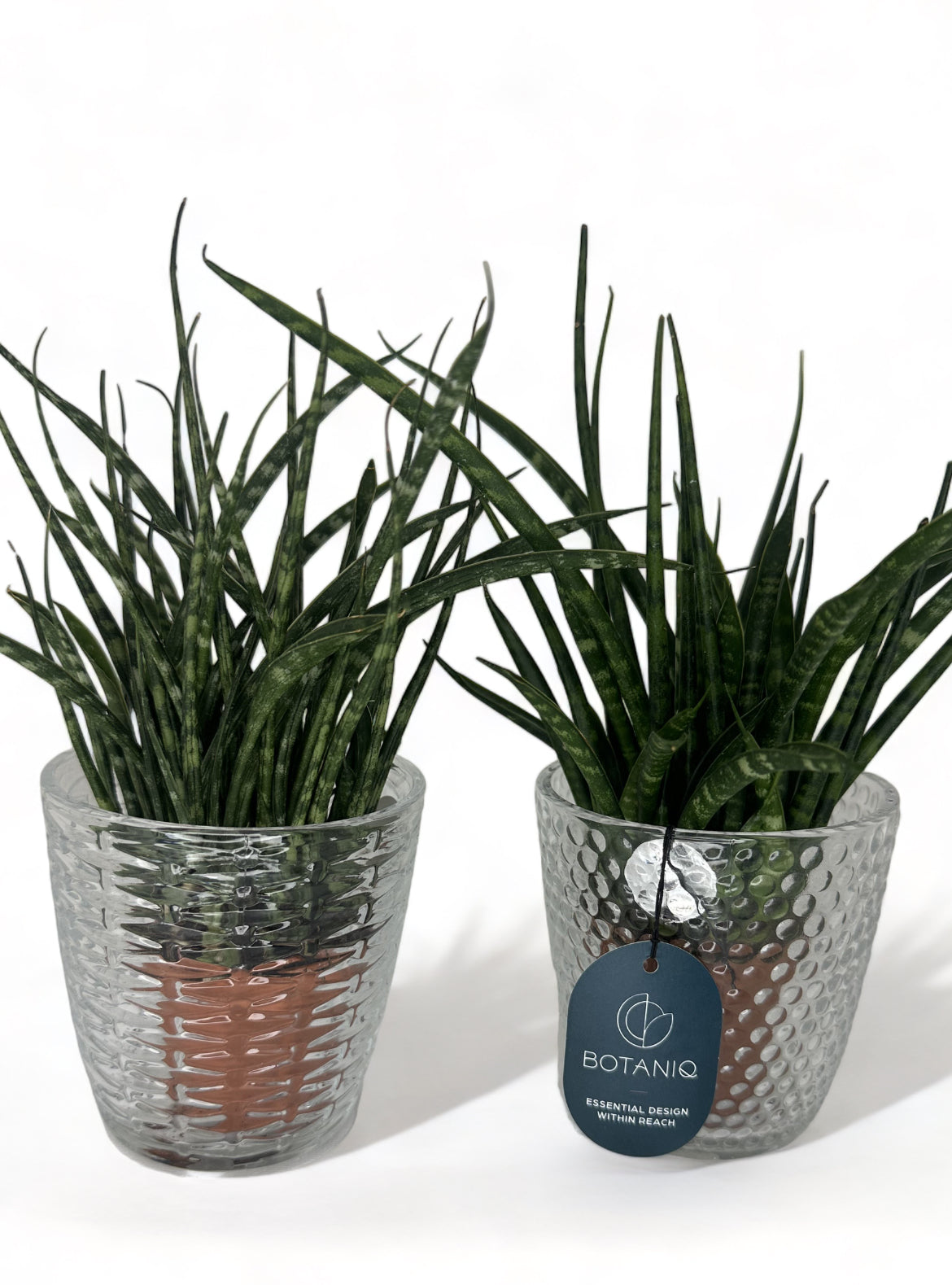 Γυάλα ρόμβος ποτήρι