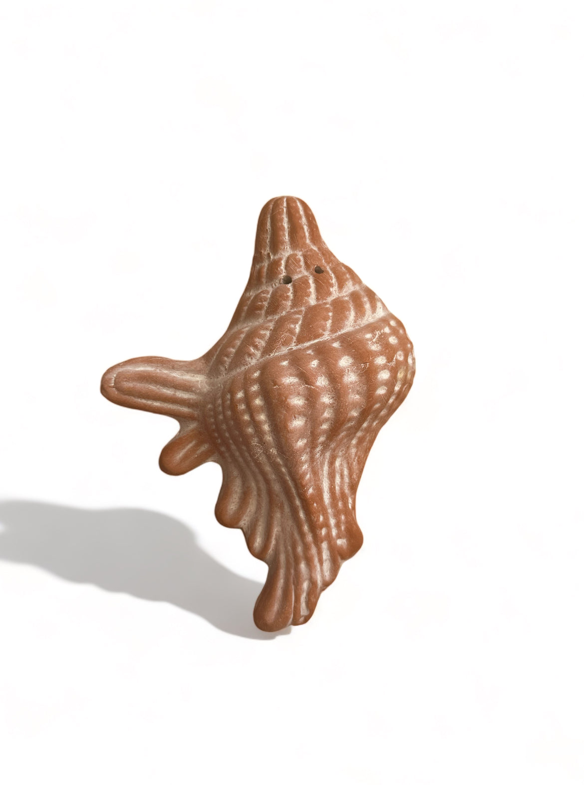 Κεραμικό κοχύλι τοίχου