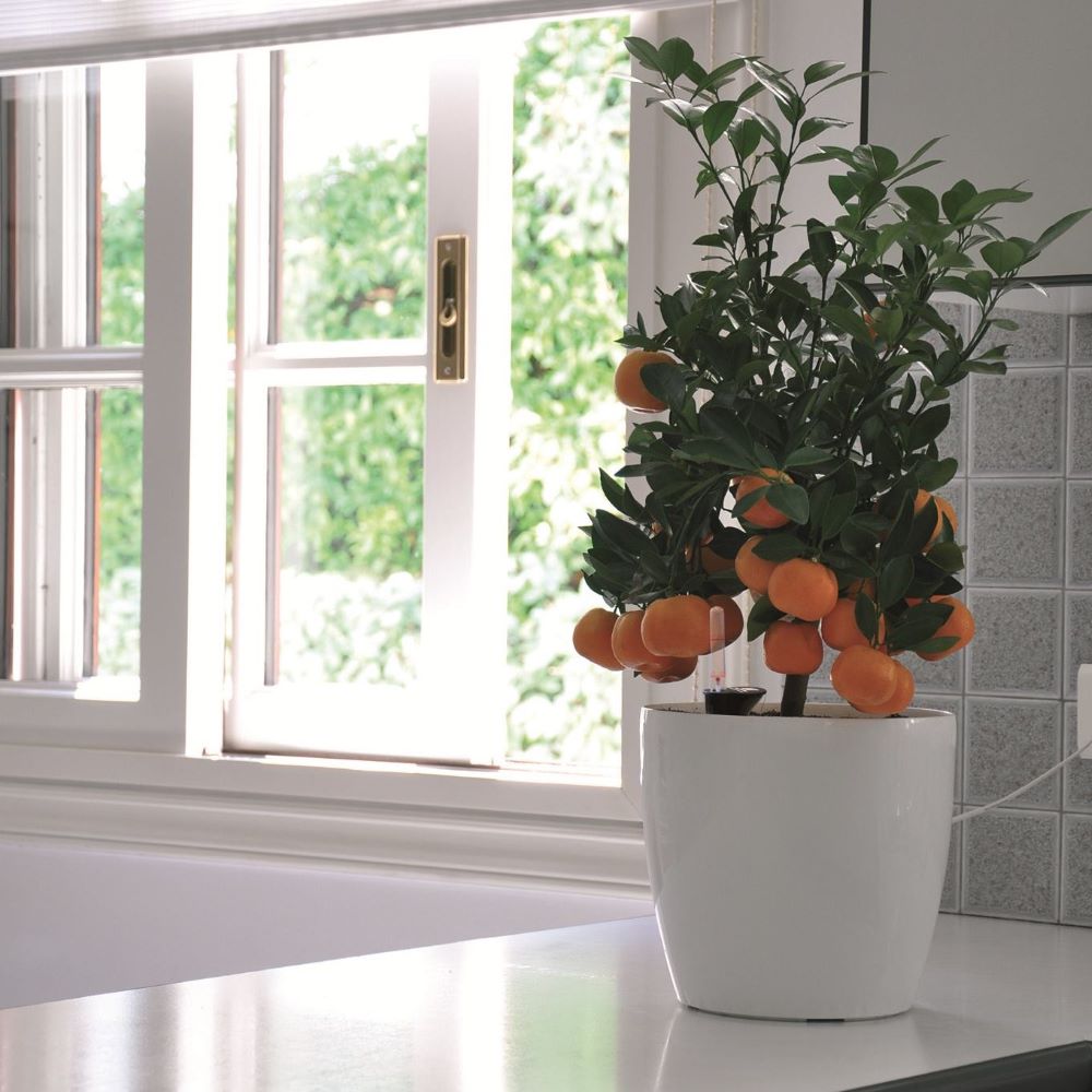 Plastona κασπώ πλαστικό στρογγυλό Rotto GOGREEN λευκό