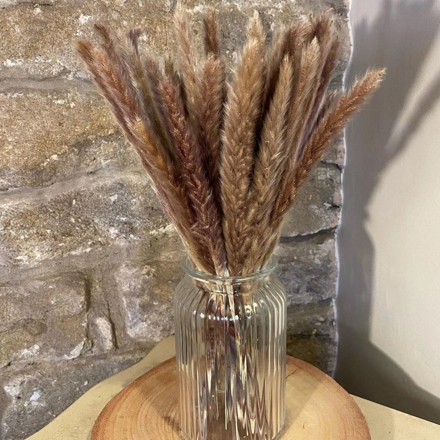 Pampas Grass Natural 60εκ. αποξηραμένο κλαδί