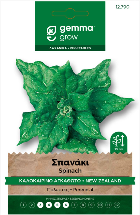 Σπανάκι καλοκαιρινό αγκαθωτό 12790
