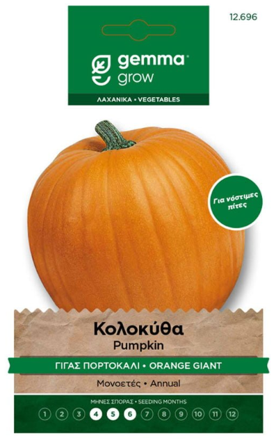 Κολοκύθα γίγας πορτοκαλί 12696