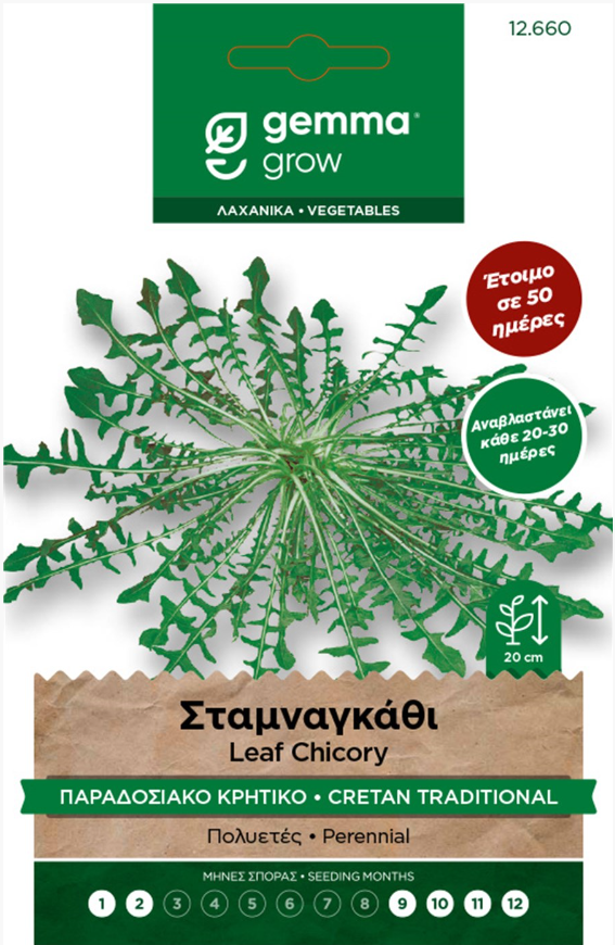 Σταμναγκάθι παραδοσιακό κρητικό 12660