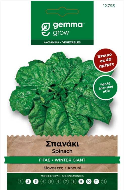 Σπανάκι γίγας χειμερινό Gigante de invierno 12793