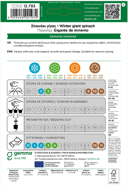 Σπανάκι γίγας χειμερινό Gigante de invierno 12793