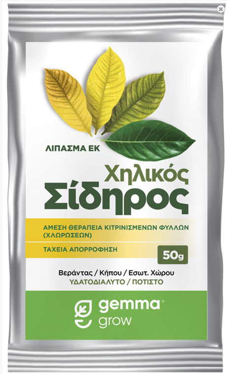 Super Green Χηλικός Σίδηρος σκόνη 50 g