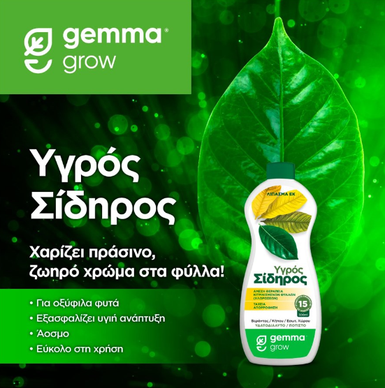 Υγρός σίδηρος 300 ml