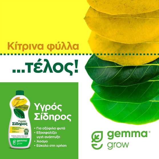 Υγρός σίδηρος 300 ml