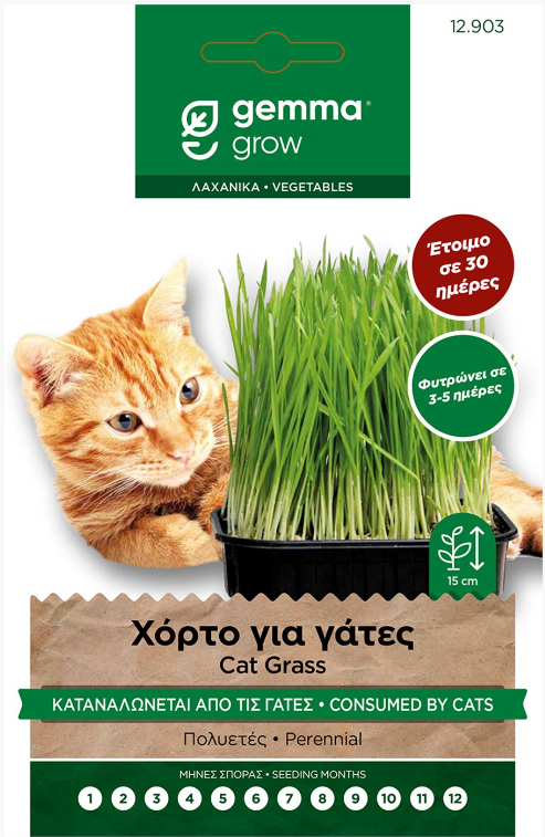 Χόρτο για γάτες 12903