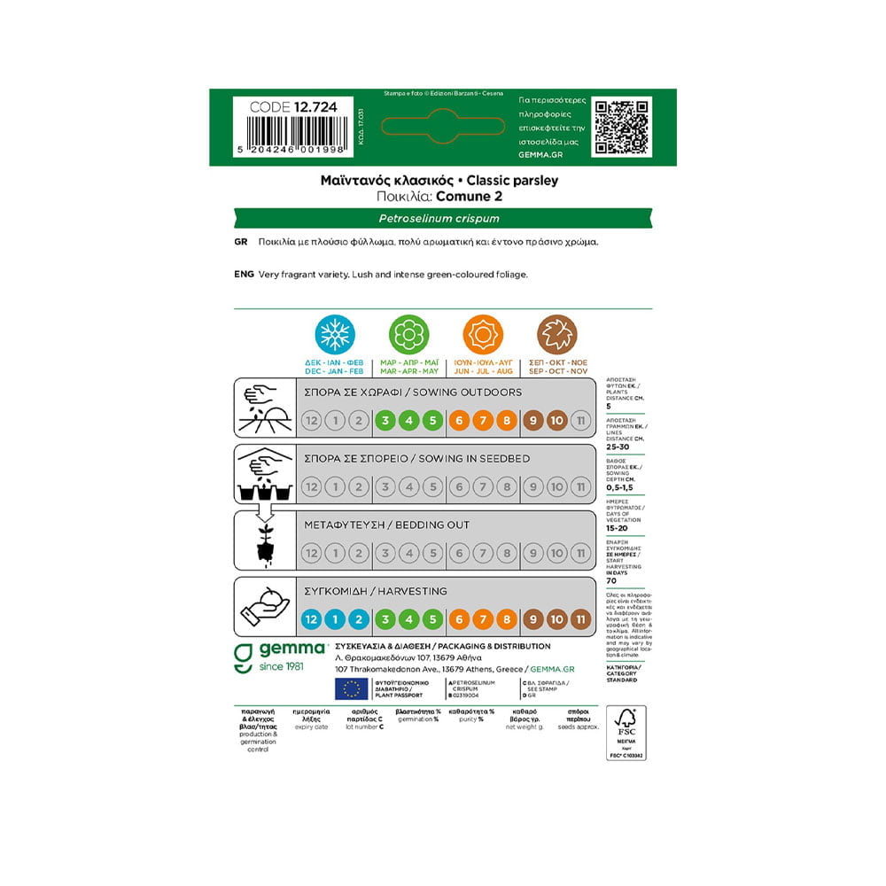 Μαϊντανός κλασικός 12724