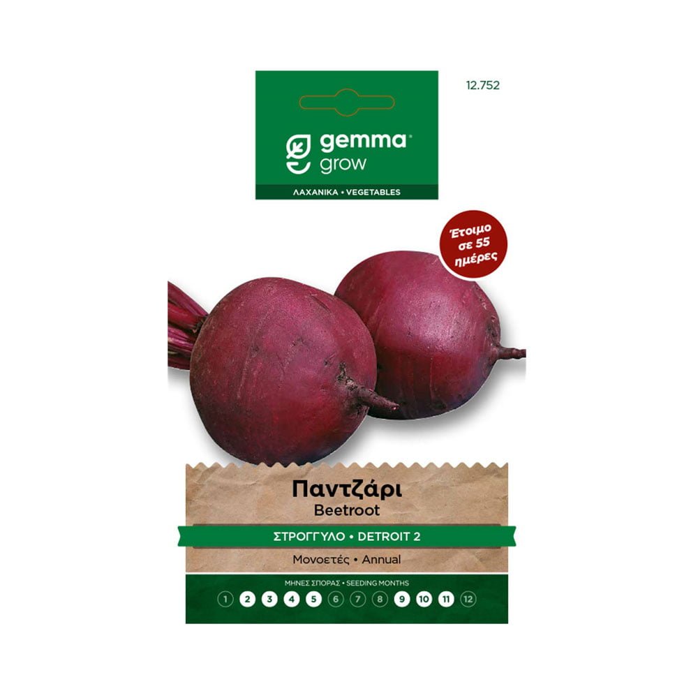 Παντζάρι στρογγυλό Detroit 2 12752