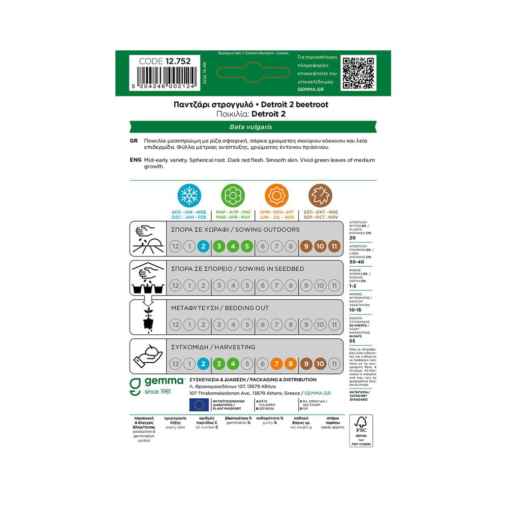Παντζάρι στρογγυλό Detroit 2 12752