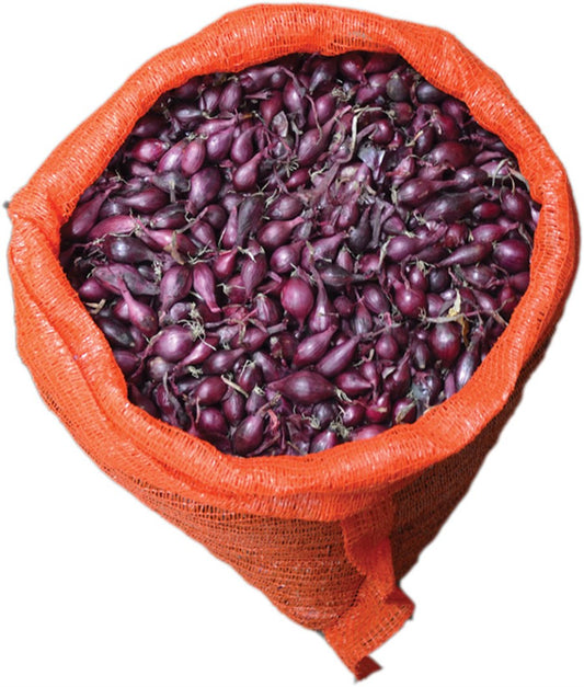 Κοκκάρι Κόκκινο Red Baron 14/21 ψιλό 1kg