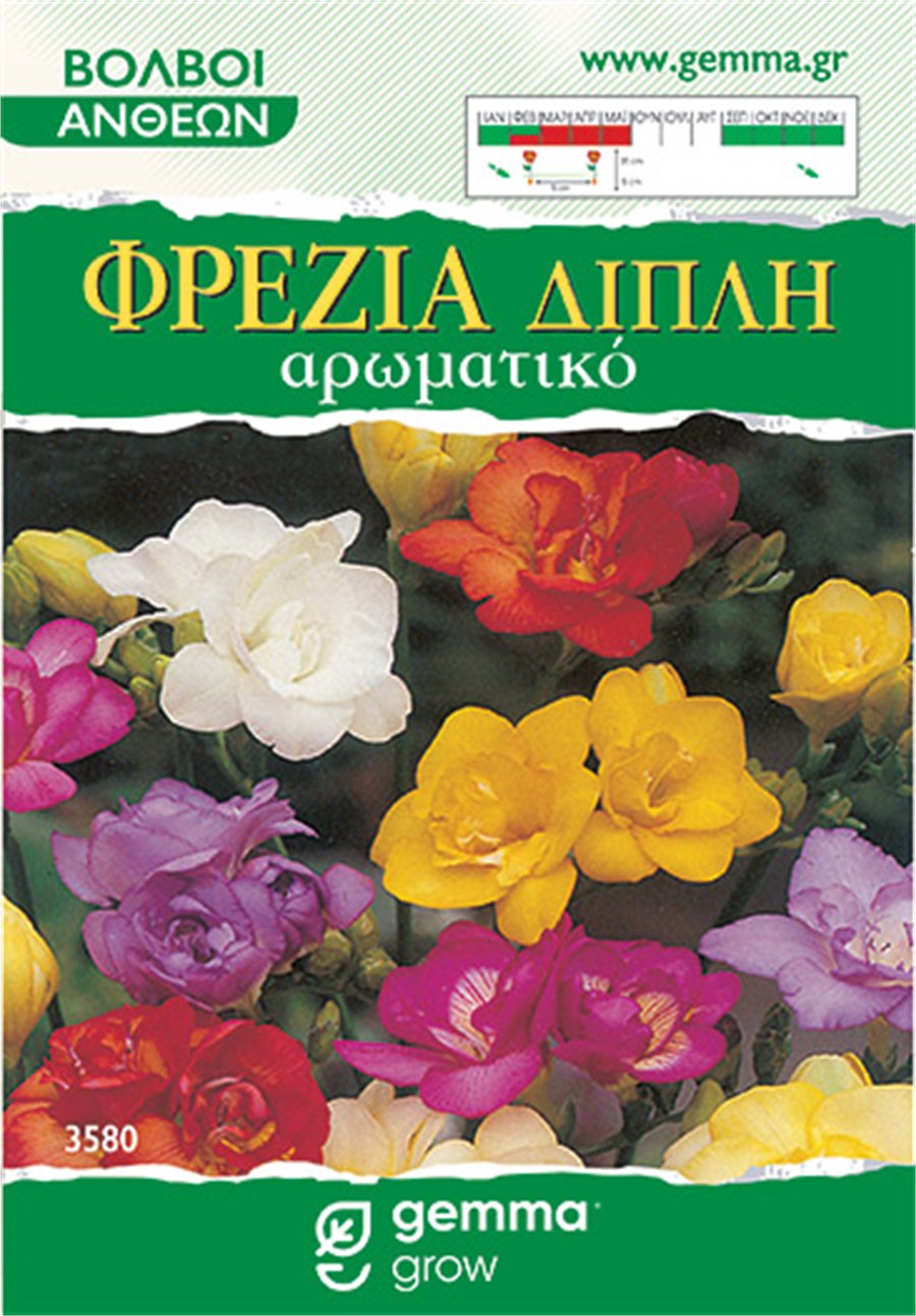 Φρέζια διπλή μίγμα 3580