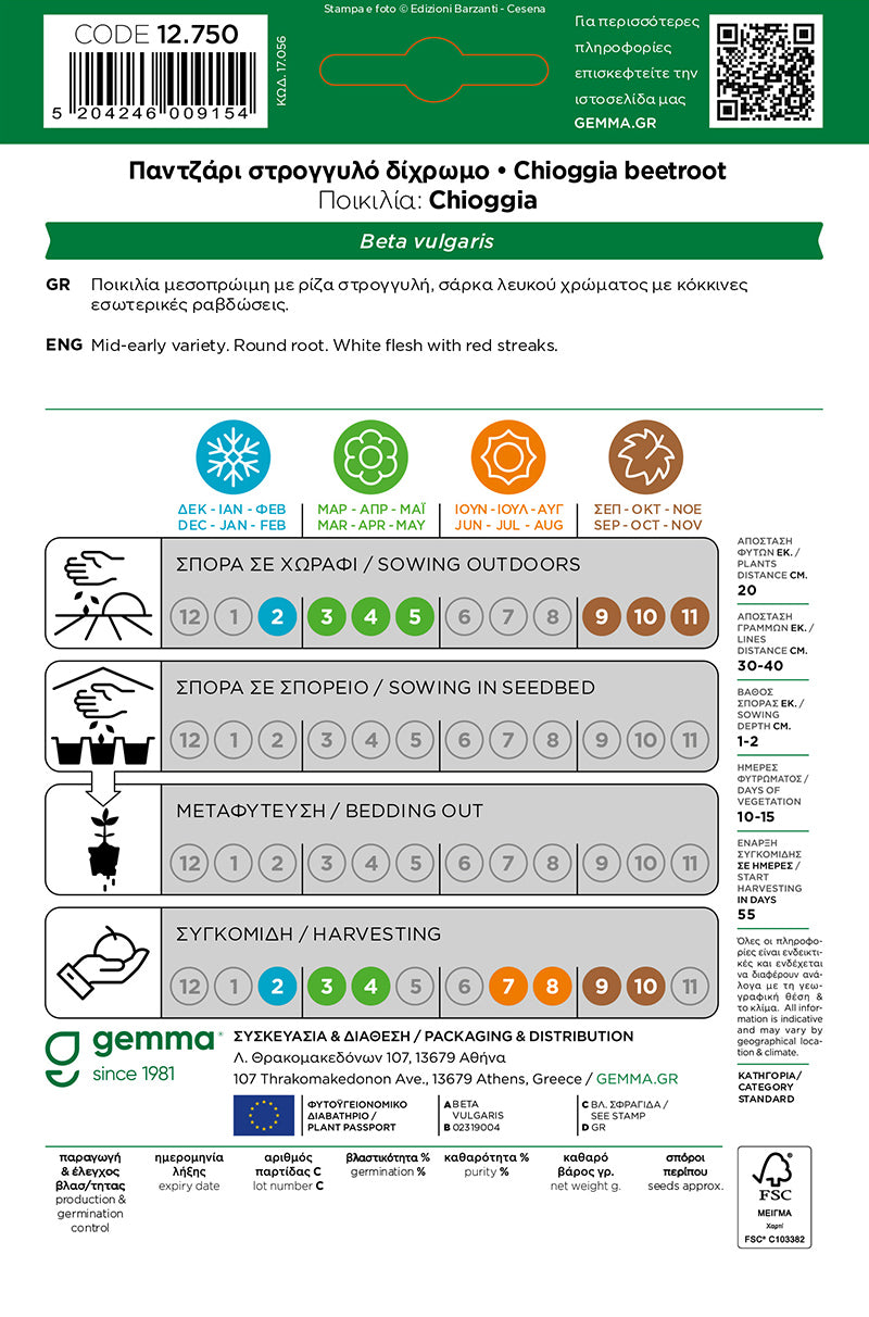 Παντζάρι στρογγυλό δίχρωμο 12750