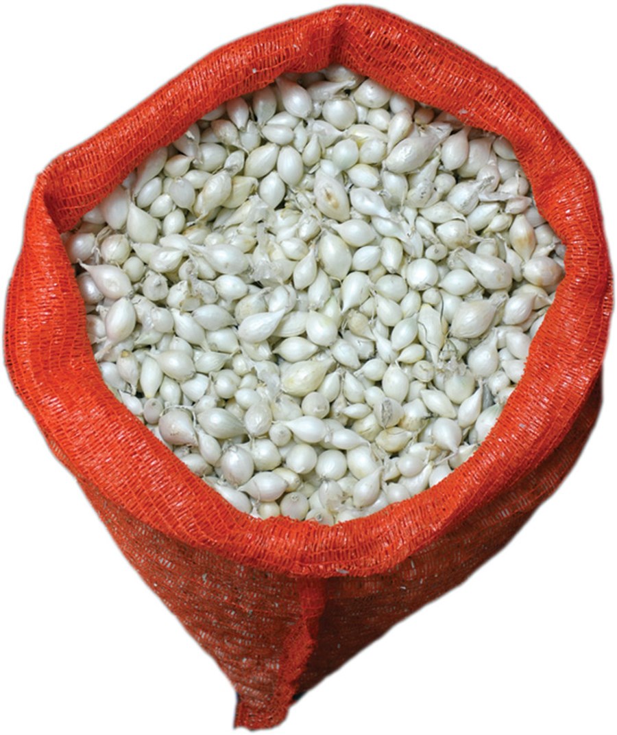 Κοκκάρι Λευκό Snowball 14/21 ψιλό 1kg